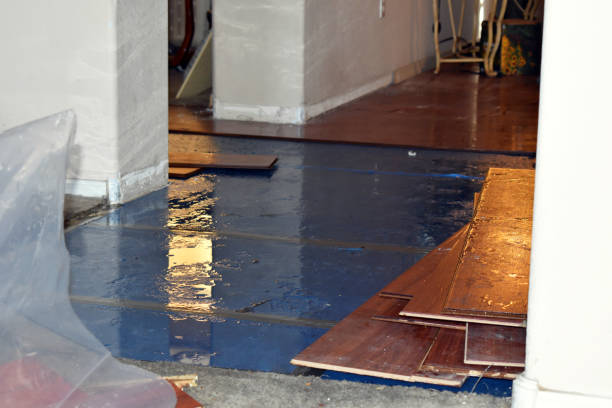 Professional Water Damage Restoration technician working in Mitchell, IL